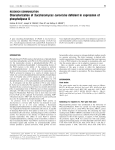 Characterization of Saccharomyces cerevisiae deficient in