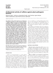 Antibacterial activity of caffeine against plant pathogenic bacteria