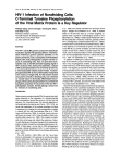 HIV-1 Infection of Nondividing Cells: C-Terminal