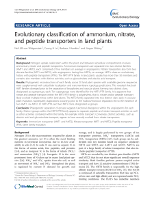 Evolutionary classification of ammonium, nitrate, and peptide
