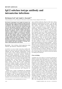 IgG2 subclass isotype antibody and intrauterine