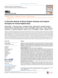 A Literature Review of Renal Surgical Anatomy and - EU-ACME