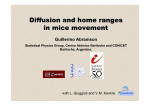 Diffusion and home ranges in mice movement