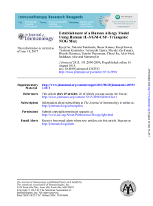 NOG Mice Transgenic − Using Human IL-3/GM