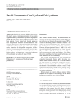 Fascial Components of the Myofascial Pain Syndrome