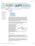 Pancreatitis - Andrew Gottesman, MD