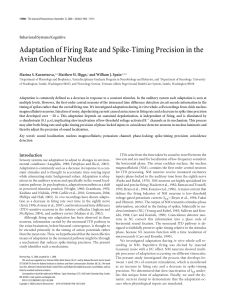 Adaptation of Firing Rate and Spike