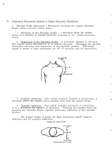 Anatomical Movements Body Landmarks