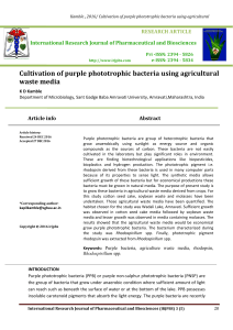 Cultivation of purple phototrophic bacteria using