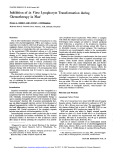 Inhibition of in Vitro Lymphocyte Transformation