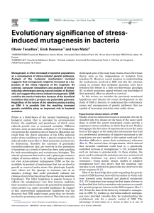Evolutionary significance of stress- induced mutagenesis in