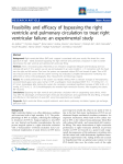 Feasibility and efficacy of bypassing the right ventricle and