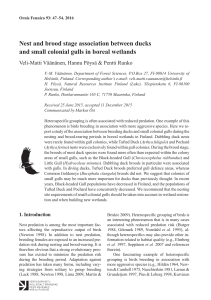 Nest and brood stage association between ducks