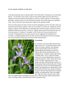 Iris for Wet Sites - Atlantic Master Gardeners Association