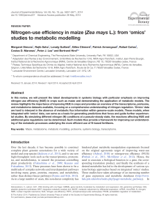 Nitrogen-use efficiency in maize (Zea mays L