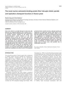 Calmodulin-binding protein disrupts mitosis