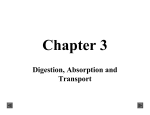 Digestion, Absorption and Transport