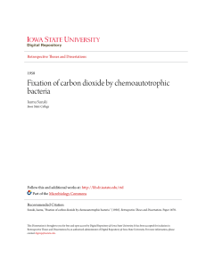 Fixation of carbon dioxide by chemoautotrophic bacteria