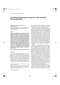 A P element-homologous sequence in the house fly, Musca domestica