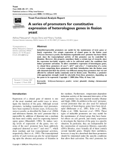 A series of promoters for constitutive expression of heterologous