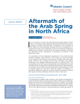 Aftermath of the Arab Spring in North Africa