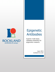 The Rockland Advantage: Epigenetics