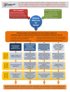 Theory of Change - The New Americans Campaign