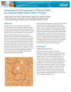 Assessing the Homogeneity of Plasmid DNA: An Important