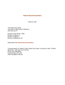 Retinal Neurotransmitters