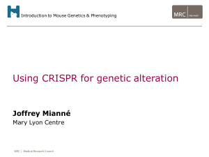 Using CRISPR for genetic alteration_Joffrey Maine