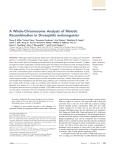 A Whole-Chromosome Analysis of Meiotic Recombination in