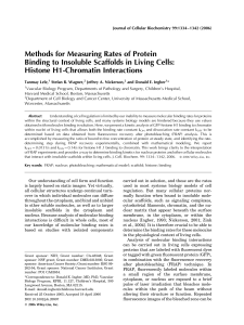 Methods for measuring rates of protein binding to insoluble scaffolds