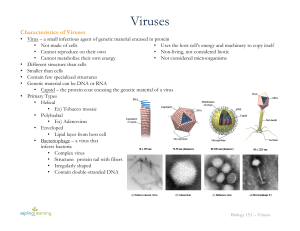 Viruses