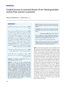 Gradual increase in neuronal density of rats