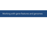 Working with gene features and genomes