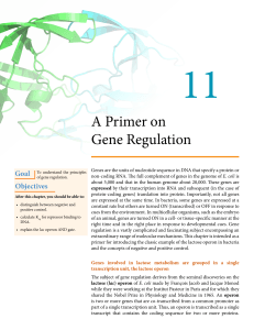 A Primer on Gene Regulation