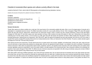 Checklist of ornamental Allium species and