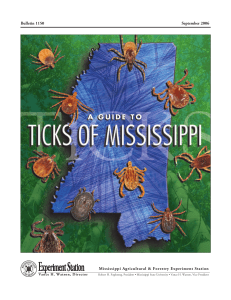 B1150 A Guide to Ticks of Mississippi