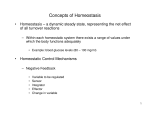 Concepts of Homeostasis