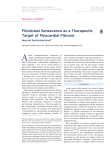 Fibroblast Senescence as a Therapeutic Target of
