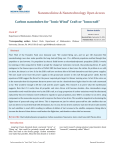 Carbon nanotubes for "Ionic Wind" Craft or