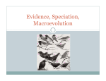 Evidence, Speciation, Macroevolution