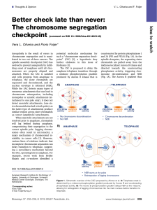Better check late than never: The chromosome segregation