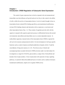 CREB Regulation of Eukaryotic Gene Expression