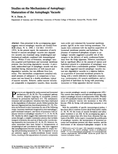 Studies on the Mechanisms of Autophagy