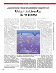 Ubiquitin Lives Up To Its Name