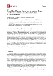 Spinal Cord Ventral Horns and Lymphoid Organ Involvement in