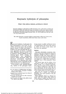 Enzymatic Hydrolysis of Pilocarpine
