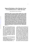 Regional Distribution of the Molecular Forms of Acetylcholinesterase