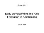 Early Development and Axis Formation in Amphibians